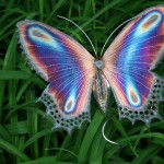 borboleta-colorida