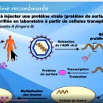 vaccin proteine recobinante2