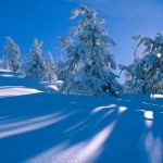 001_neige-photos-pictures-image-images-glace