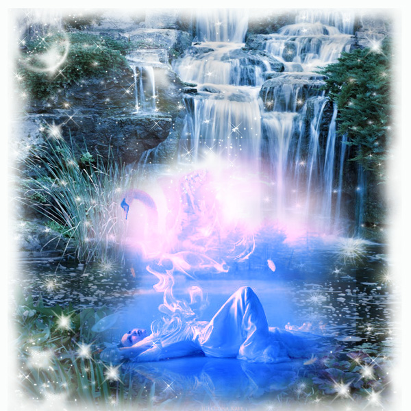 jardin-feerique